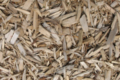 biomass boilers Rescobie